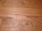 CHENE PLANCHER