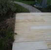 thumb_DSC00605_1024.jpg