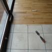 thumb_DSC00545_1024.jpg
